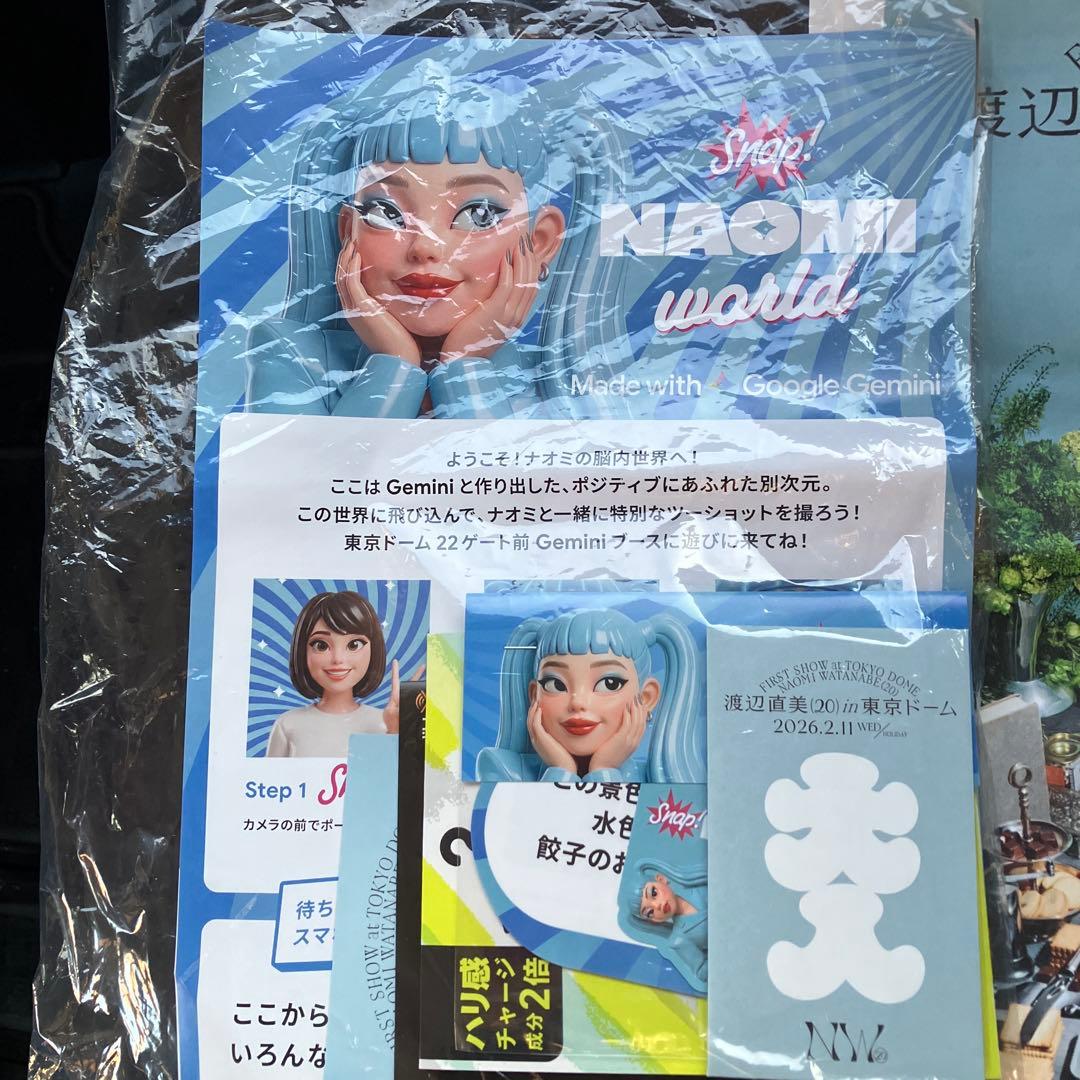 7点 渡辺直美 東京ドーム ライブ うにょ席限定グッズ 銀テ ファイル 他