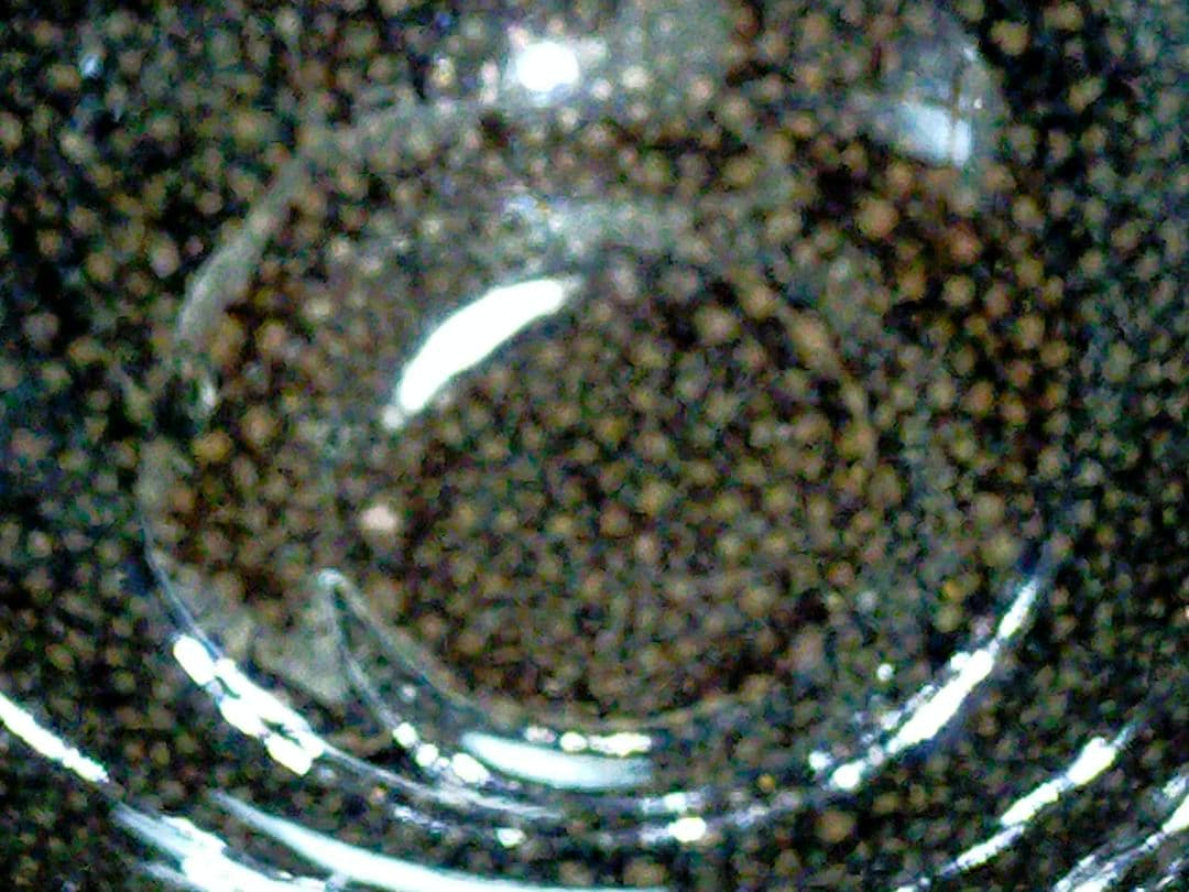 ♥油滴天目　茶碗　⑪　【内田邦夫】　共箱　仕覆　付き　茶道具　骨董　古玩