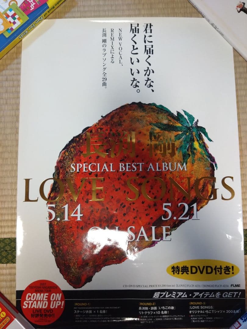 長渕剛　ポスター　11枚セット　激レア