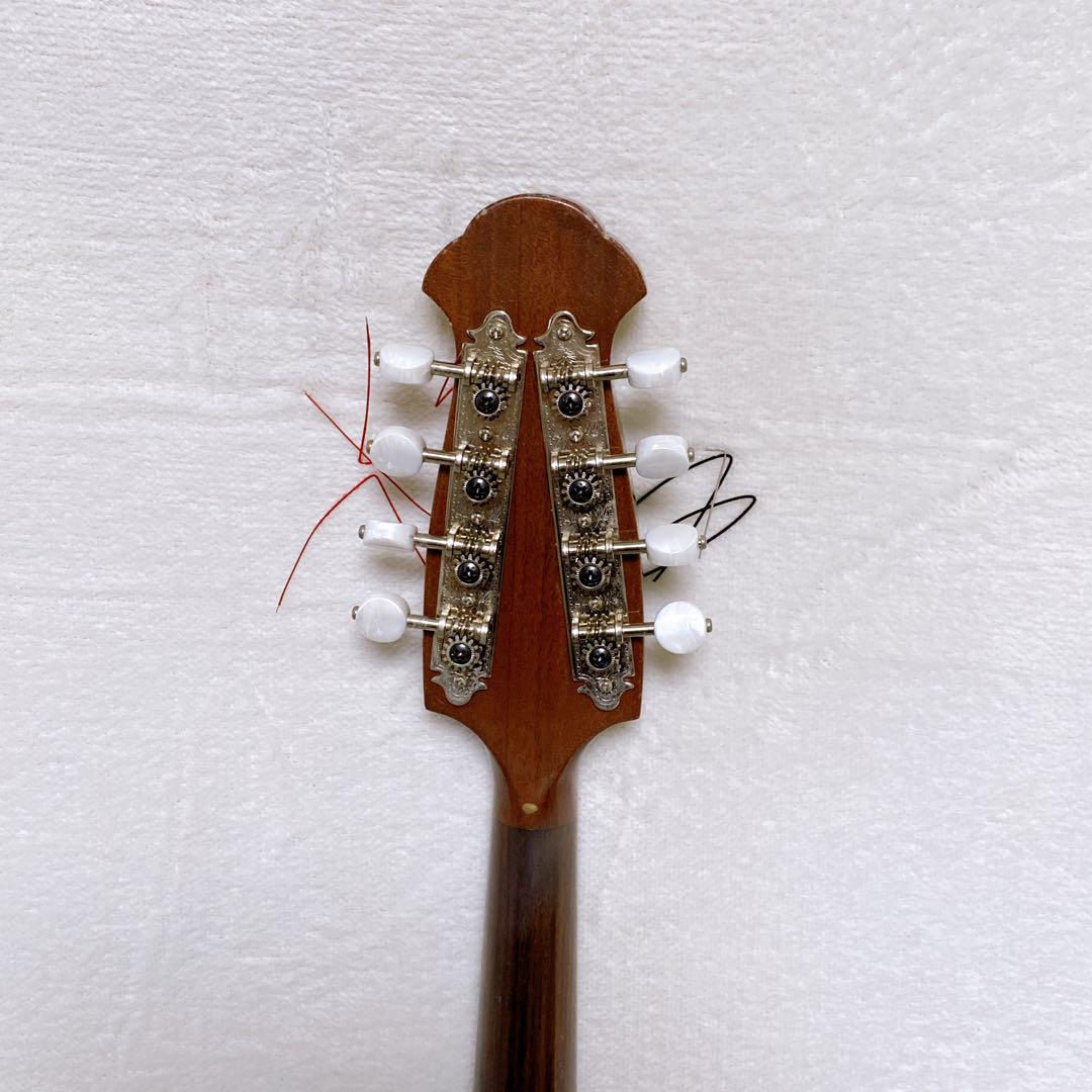 入手困難 マンドリン 藤丸常夫 NO.200 希少 セミハードケース付 おまけ