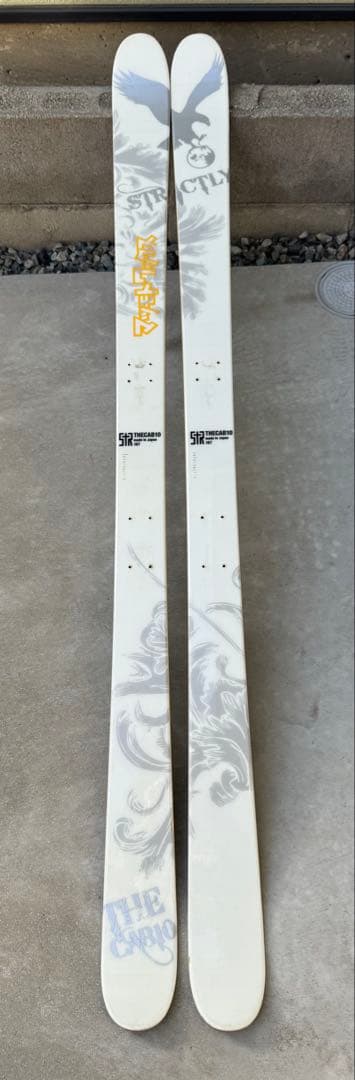 STRICTLY ストリクトリー　CAB10 167cm CLICKLINE Plastic Handle | KARL STORZ Endoskope | United States