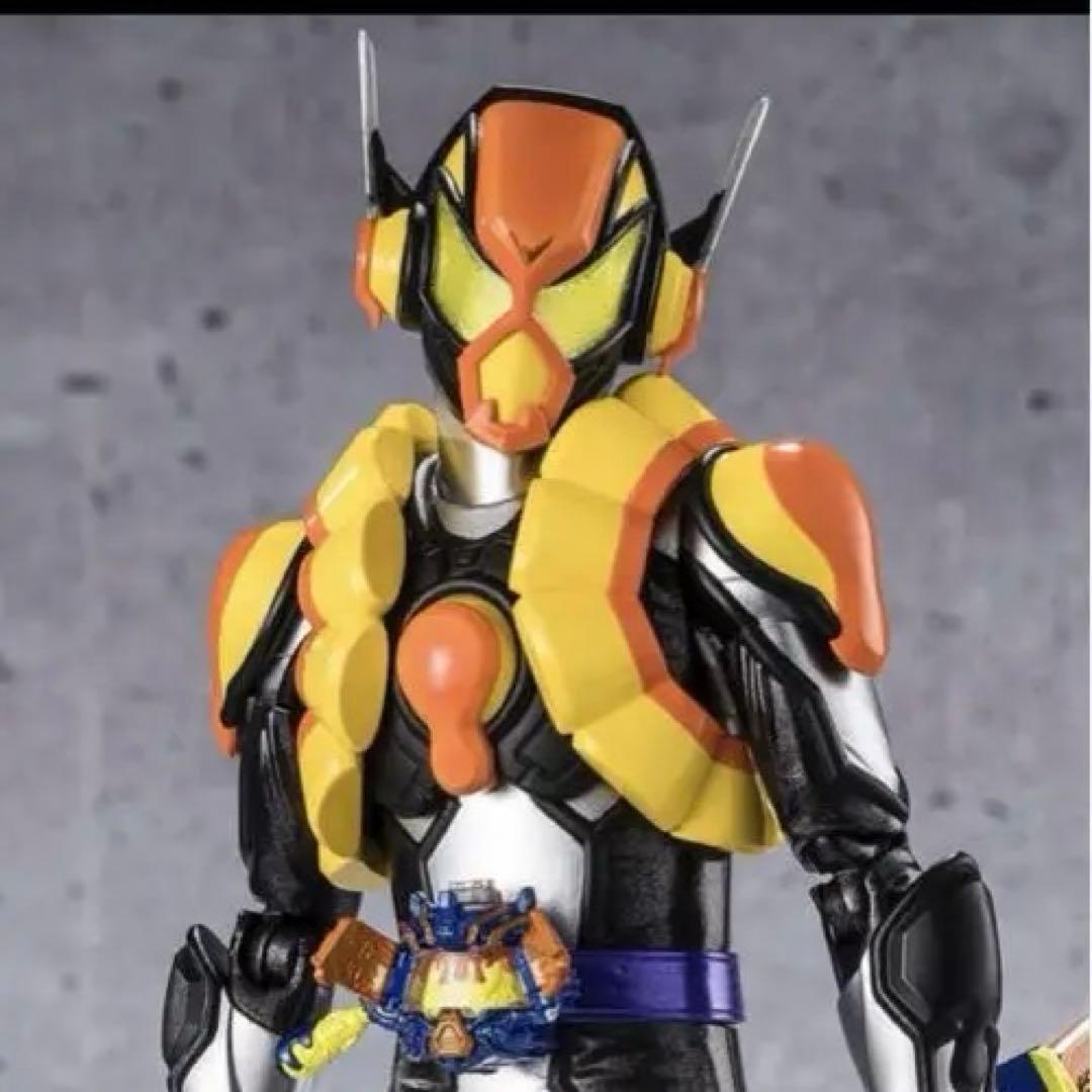 S.H.Figuarts フィギュアーツ仮面ライダー バレン & ヴラム　セット