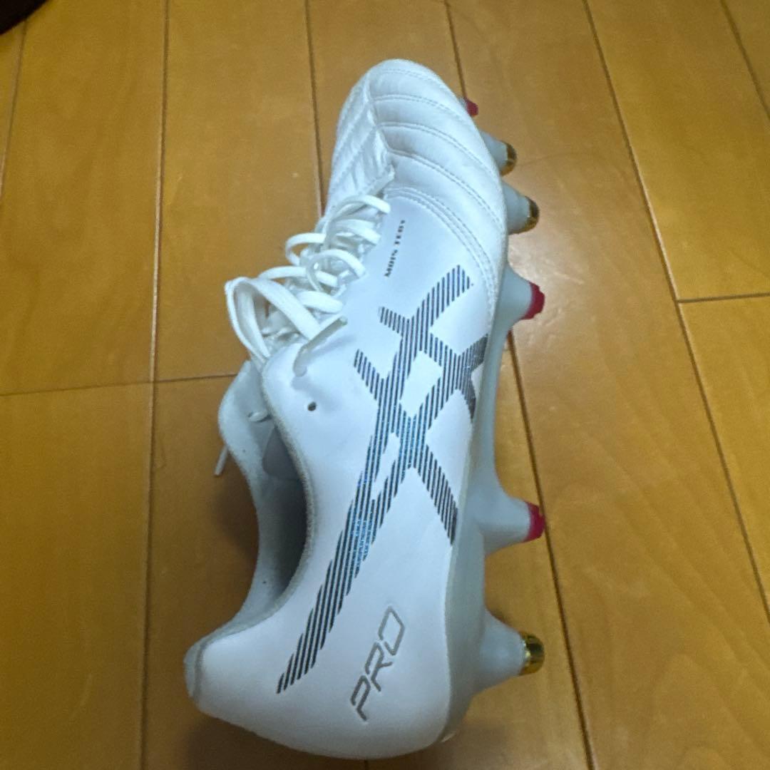取替式ASICS DS LIGHT X-Fly PRO 25.0cm