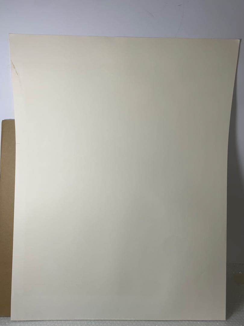 オルガ・グレチナ「雨」サイン 95/250 シルクスクリーン63.5×85cm