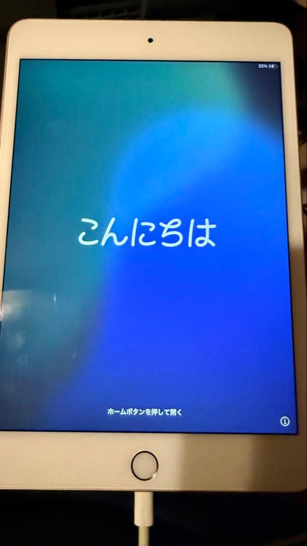 Apple iPad 256GB 5th Gen Gold 本体 - iPad本体一 番 安い 通販