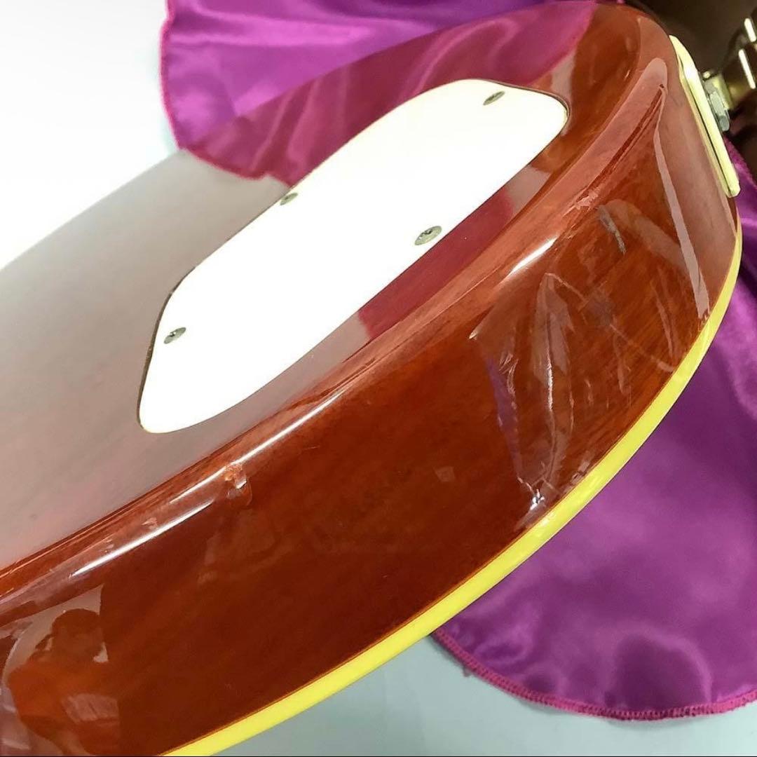 Grass Roots グラスルーツ エレキギター Limited MODEL