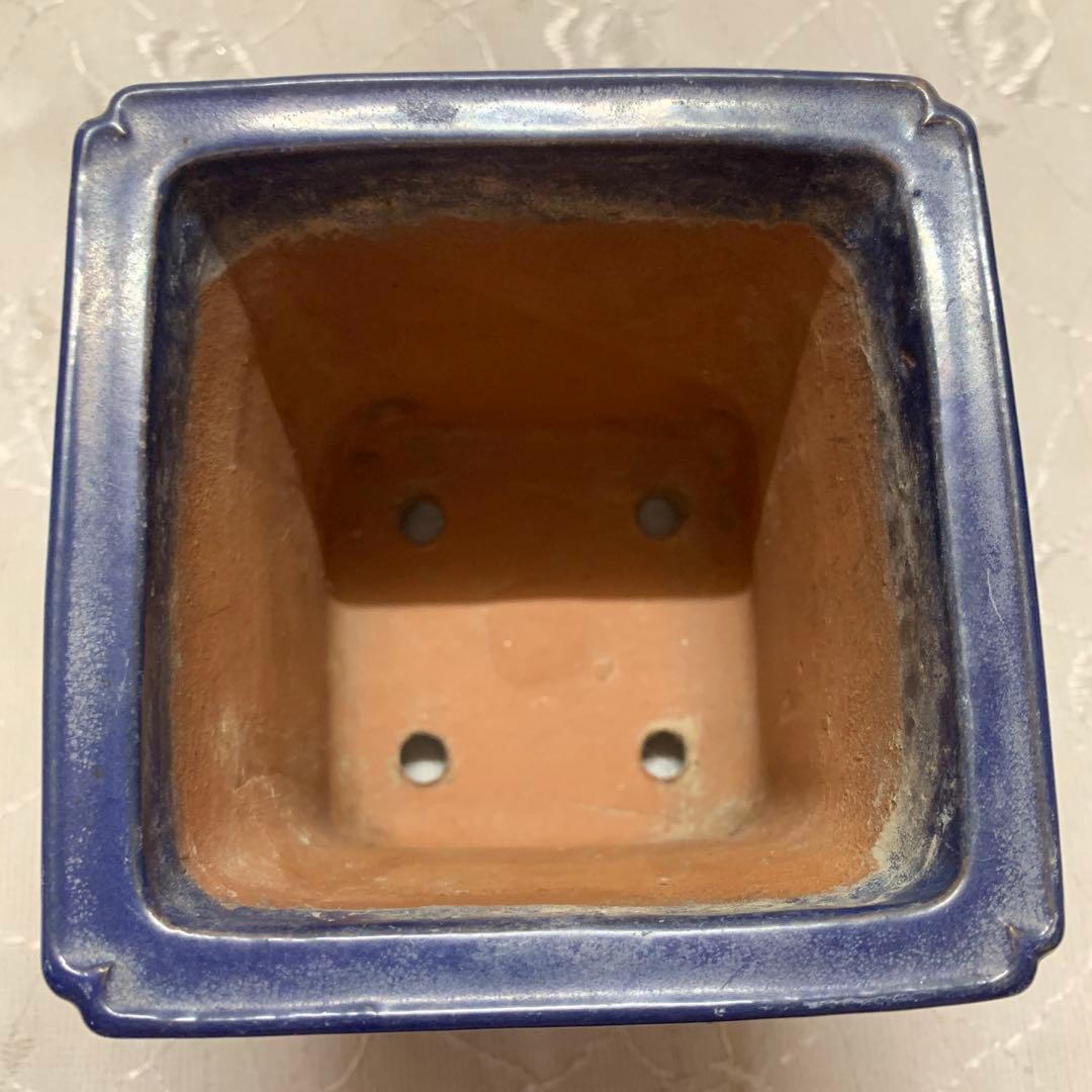 盆栽鉢 青 正方 落款有り