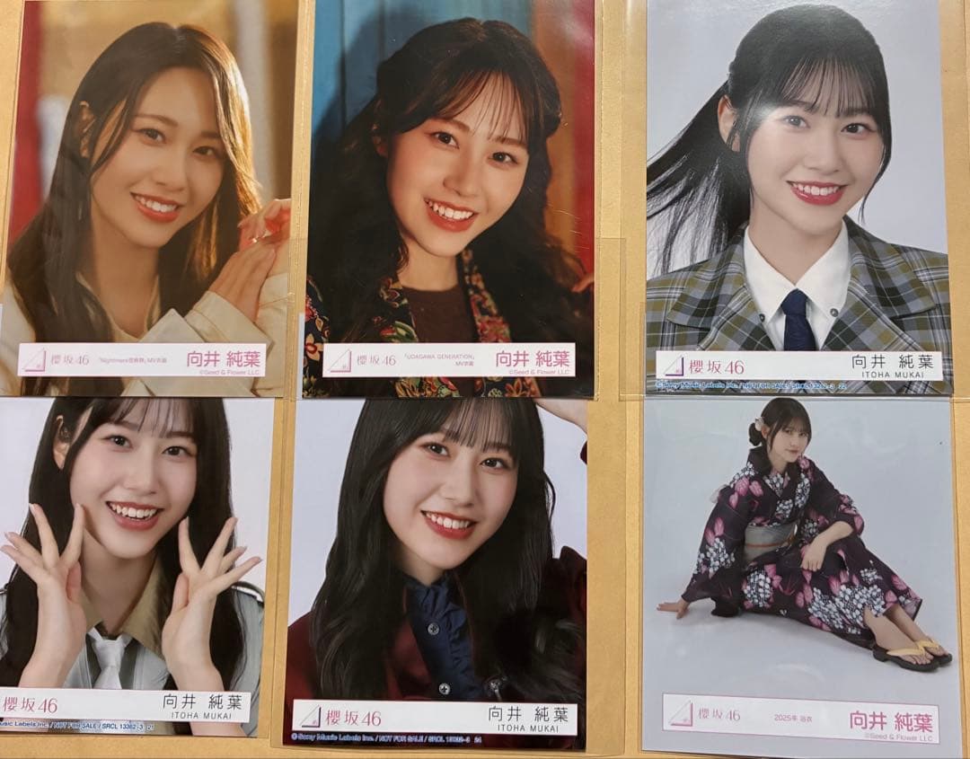 櫻坂46 向井純葉 生写真 カード クーポン その他グッズまとめ売り