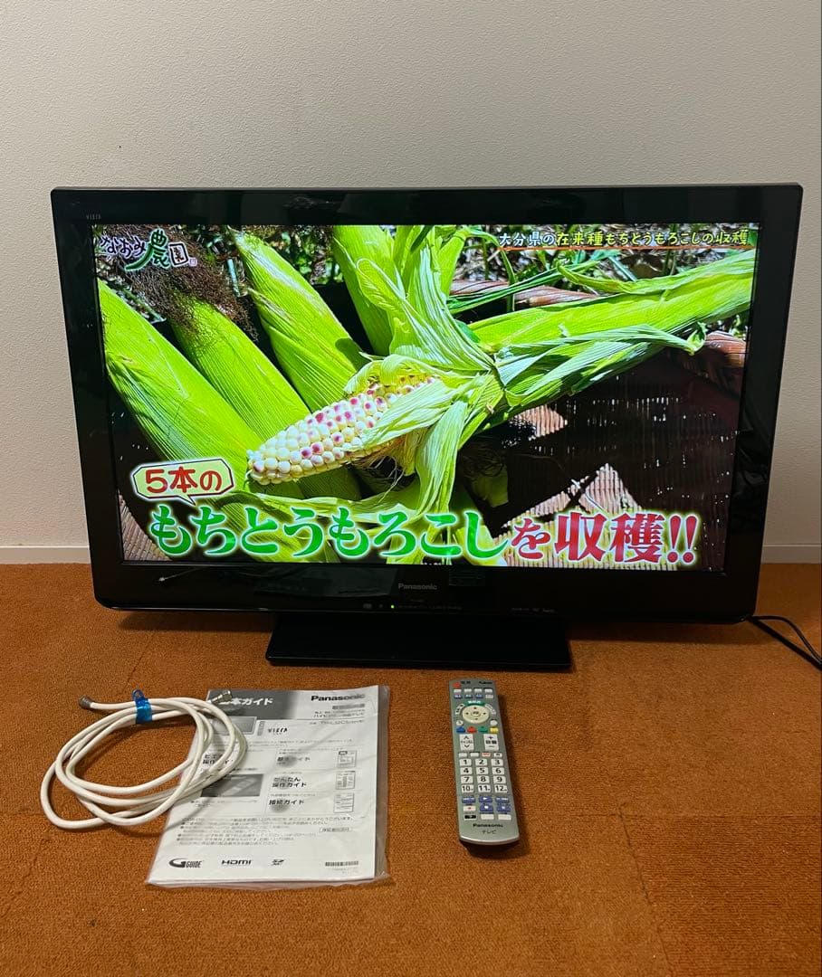 パナソニック 地上/BS/110度CSデジタルハイビジョン液晶テレビ 32V型 地上・BS・110度CSデジタルハイビジョン液晶テレビ TH-32G300 [32V型