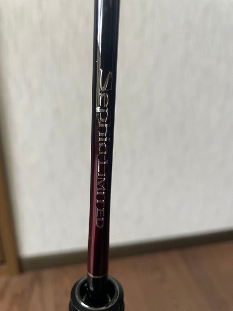 シマノ 25セフィアリミテッド メタルスッテ ウキウキトップ UK-B62-GS