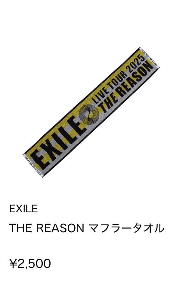 ☆☆　EXILE THE REASON ライブグッズセット
