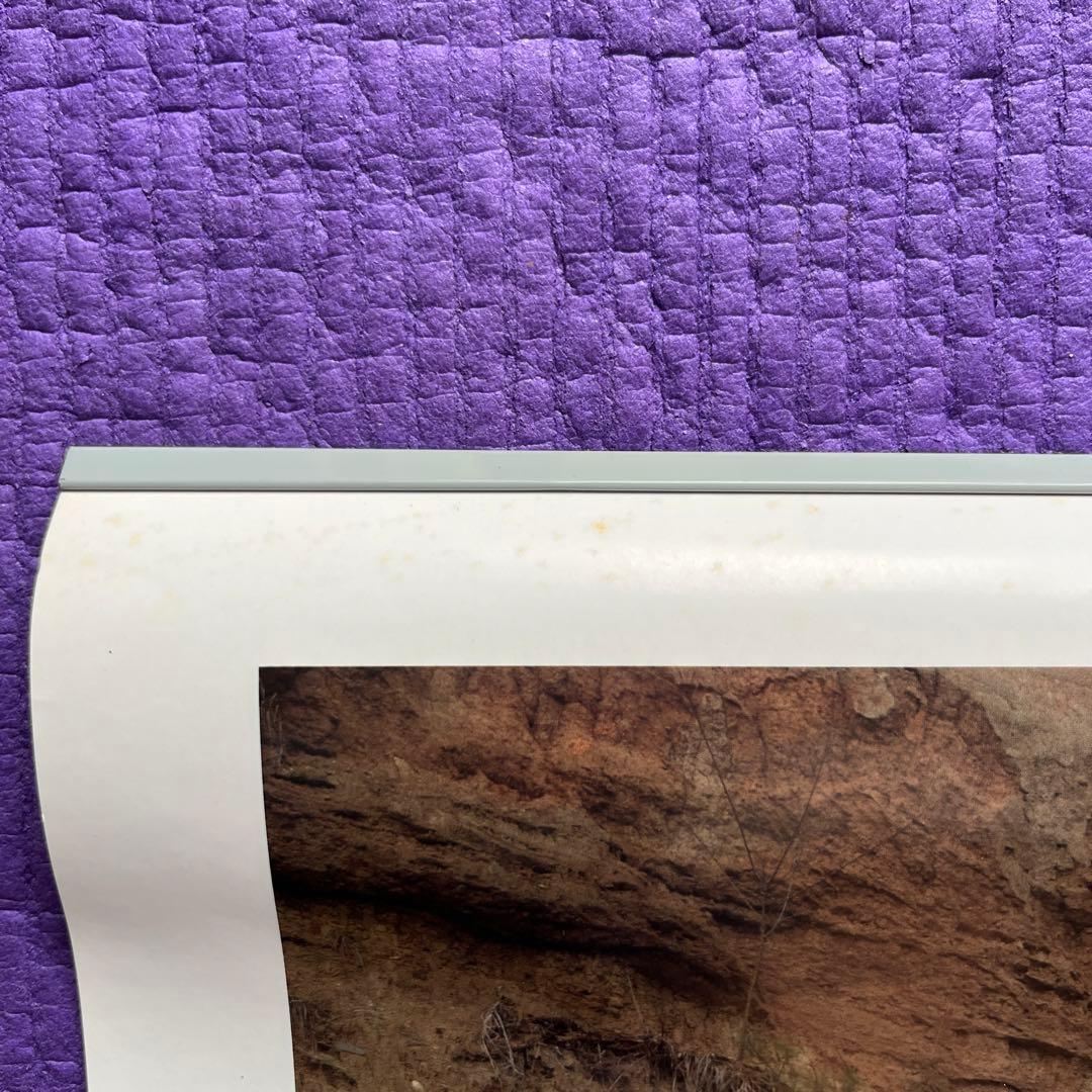 大判 たま 1991 カレンダー 小学館 週刊少年サンデー