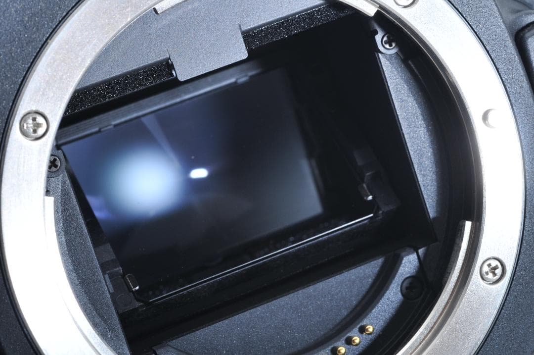 キャノン Canon Canon 5D Mark III ≪6400ショット≫