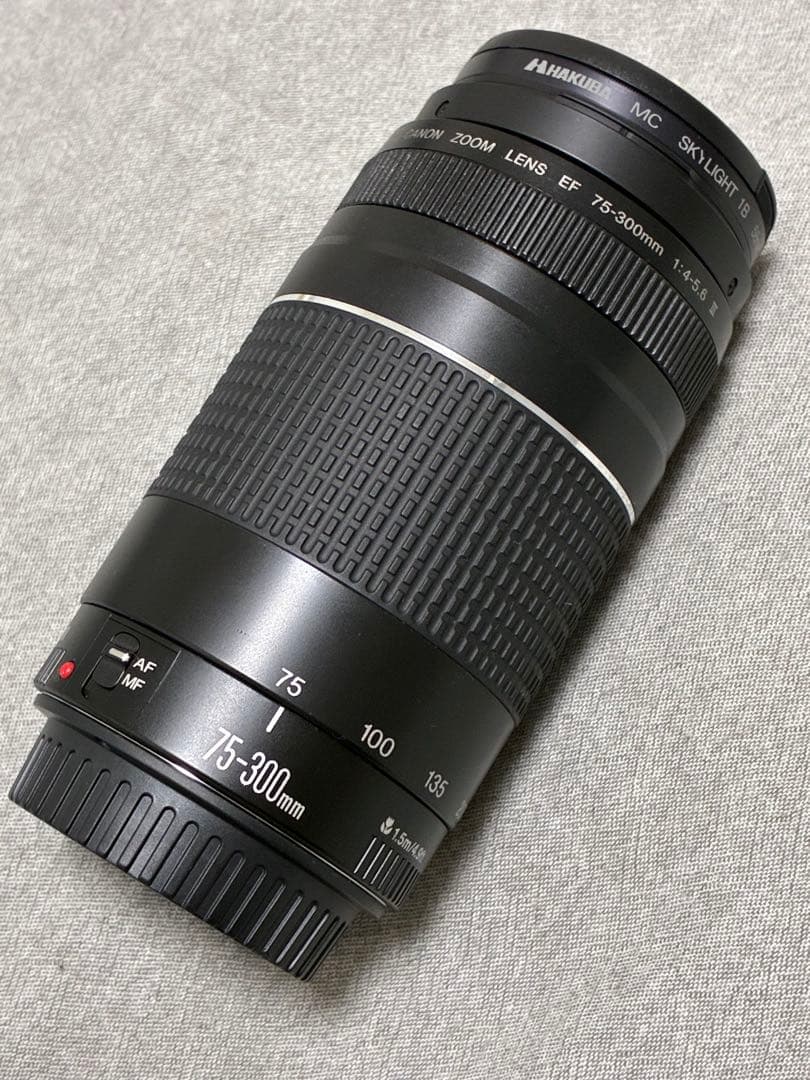 ⭐️美品⭐️ Canon EF 75-300mm F/4-5.6 III 望遠レンズ
