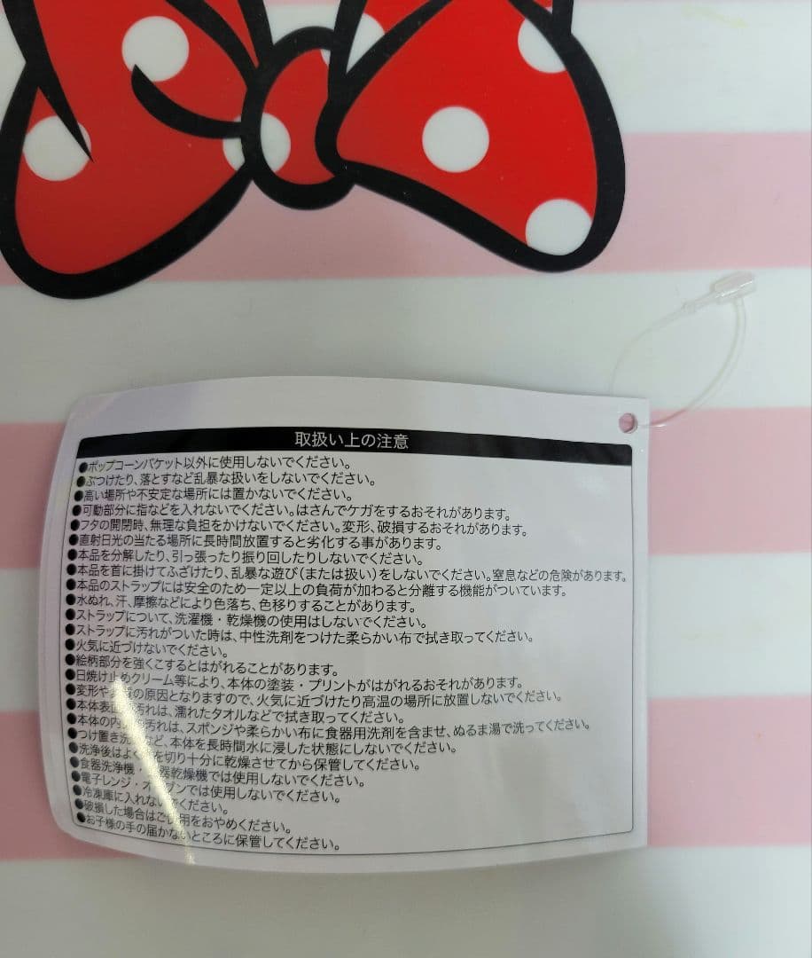 ミニー　 ポップコーンバケット　ファンダーランド　パルパルーザ　ミニパル