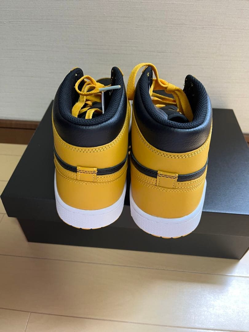 シューズ(男性用) NIKE AIR JORDAN 1 HIGH G 27.5cm