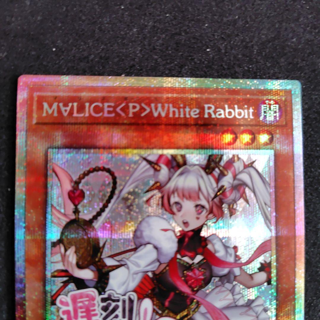 遊戯王 M∀LICE<P>WhiteRabbit ホワイトラビット プリシク Amazon.co.jp: 遊戯王カード DBCB-JP015 M∀LICE＜P＞White Rabbit