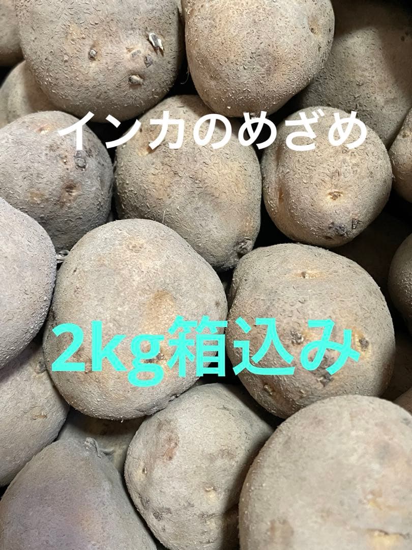 インカのめざめ 種芋 2kg箱込み - メルカリ