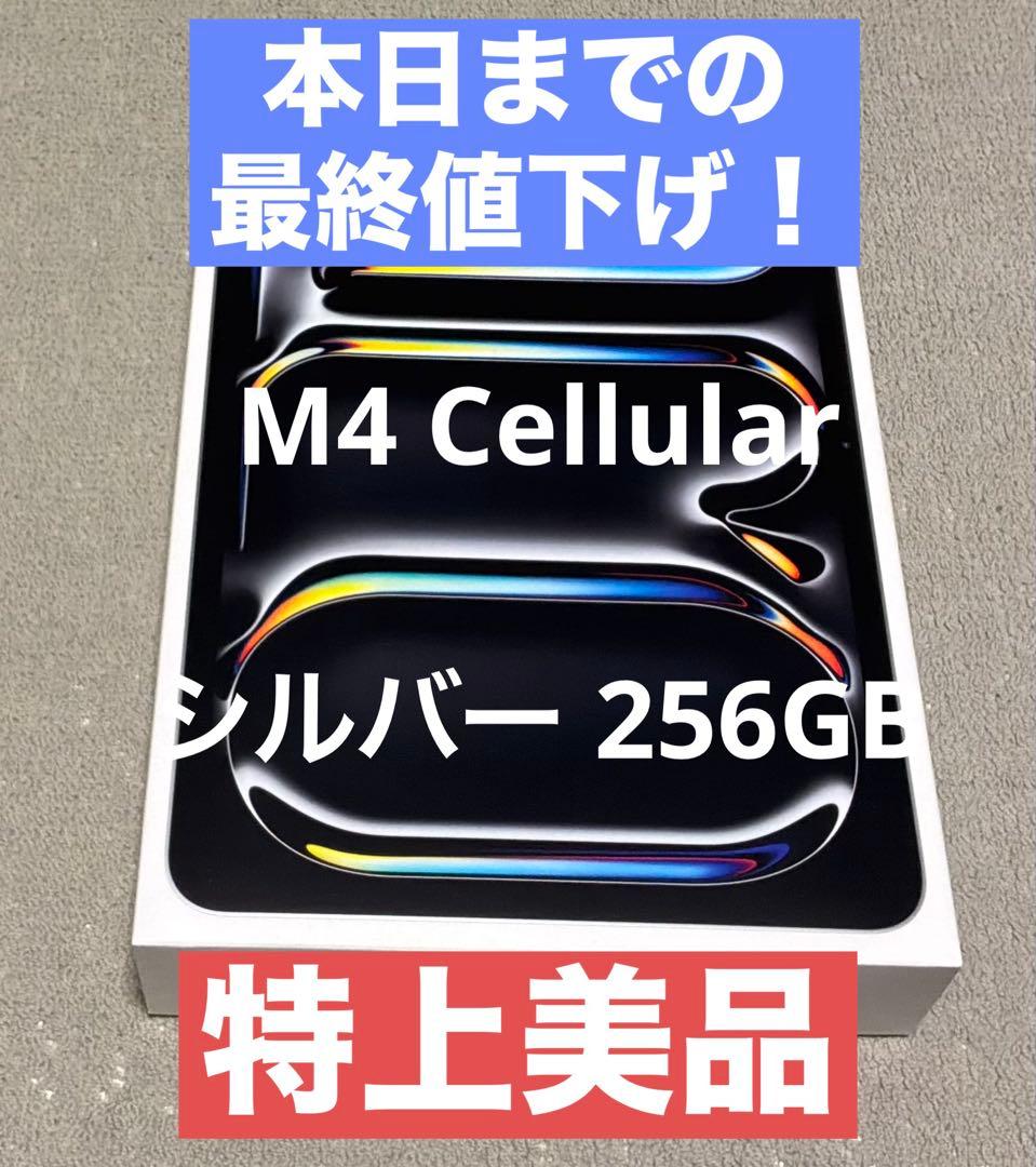 Apple iPad Pro（M4） Wi-Fi+Cellular 256GB Buy 11-inch iPad Pro Wi‑Fi + Cellular 256GB with standard glass