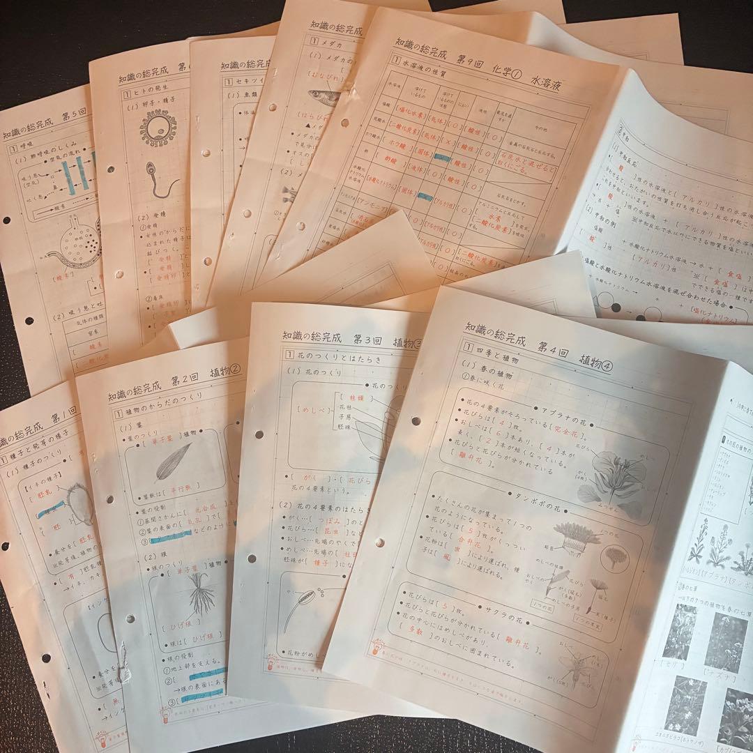サピックス 知識の総完成 理科 6年生総まとめ 欠番なし - メルカリ