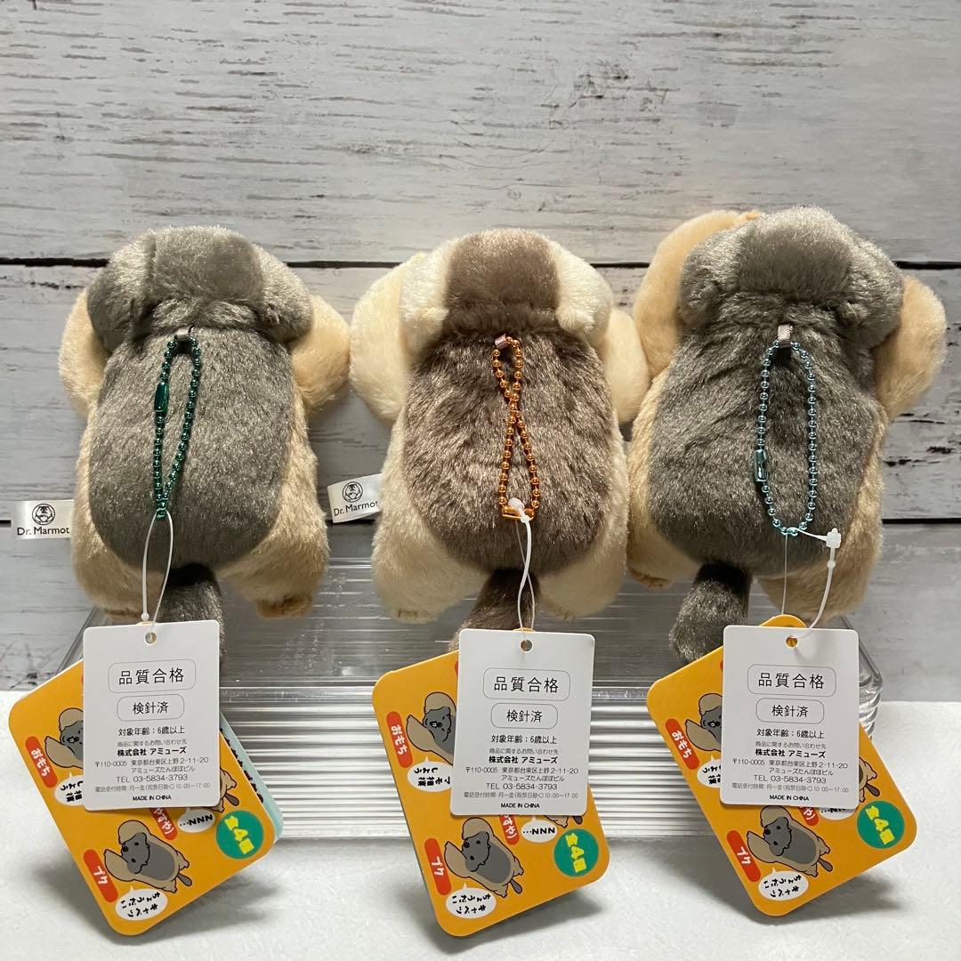 Dr.マーモット☘️まもちおもプクのぺたーん＆マモ相撲 キャラクター
