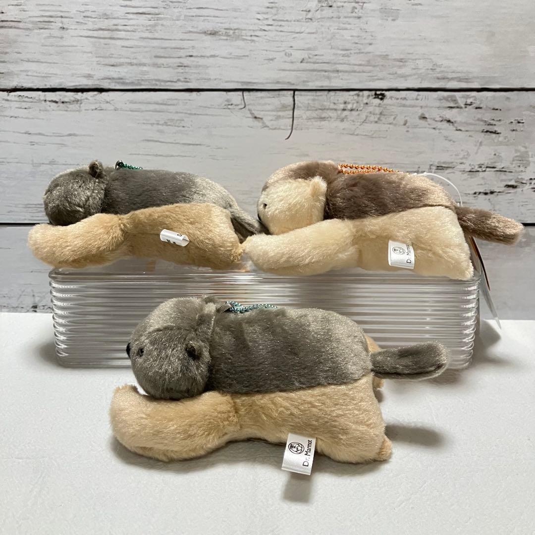 Dr.マーモット☘️まもちおもプクのぺたーん＆マモ相撲 キャラクター