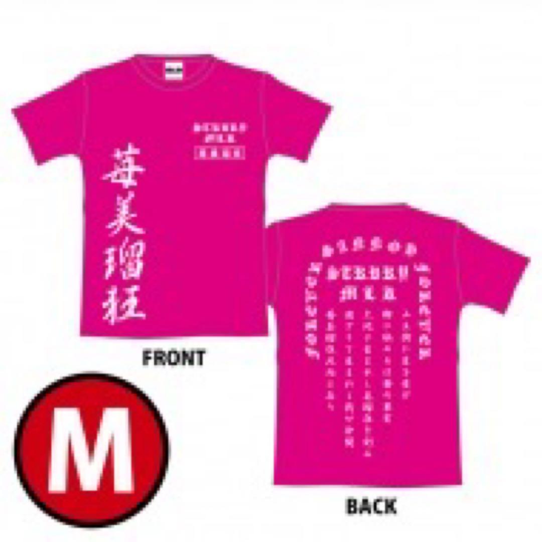 HiGH&LOW チームTシャツコンプリートセット