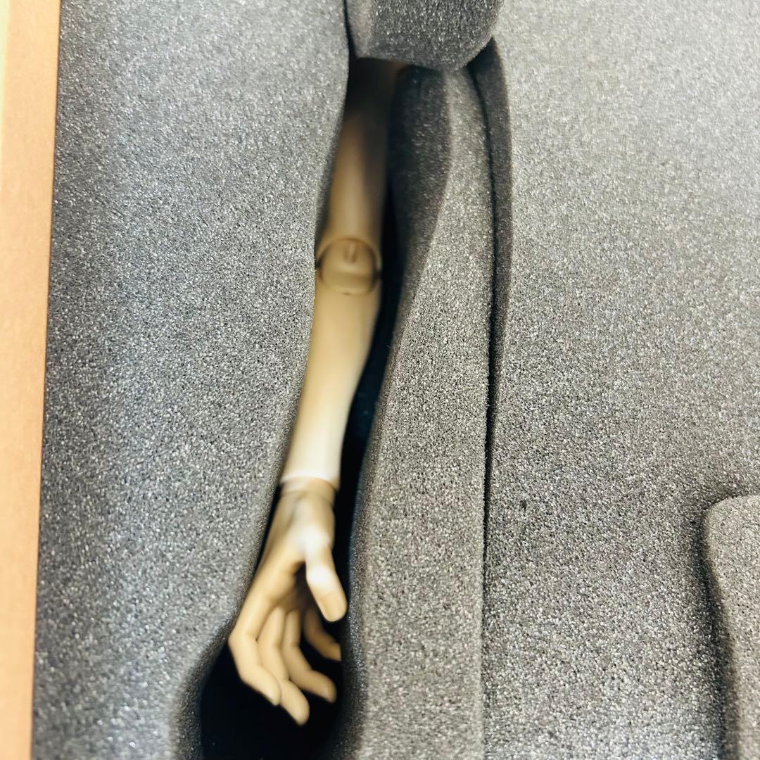 進撃の巨人　エルヴィン・スミス　キャストドール　DOLK フィギュア