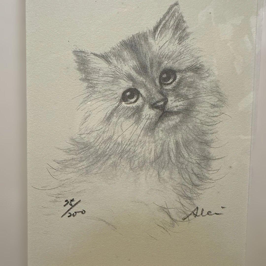 八代亜紀さんのリトグラフ　子猫の絵 デッサン　チロたん