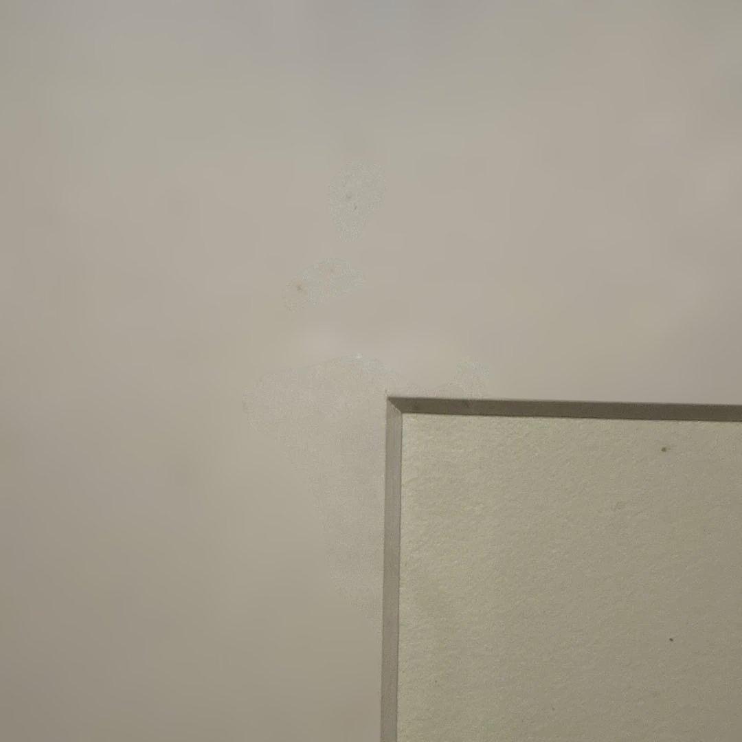 八代亜紀さんのリトグラフ　子猫の絵 デッサン　チロたん