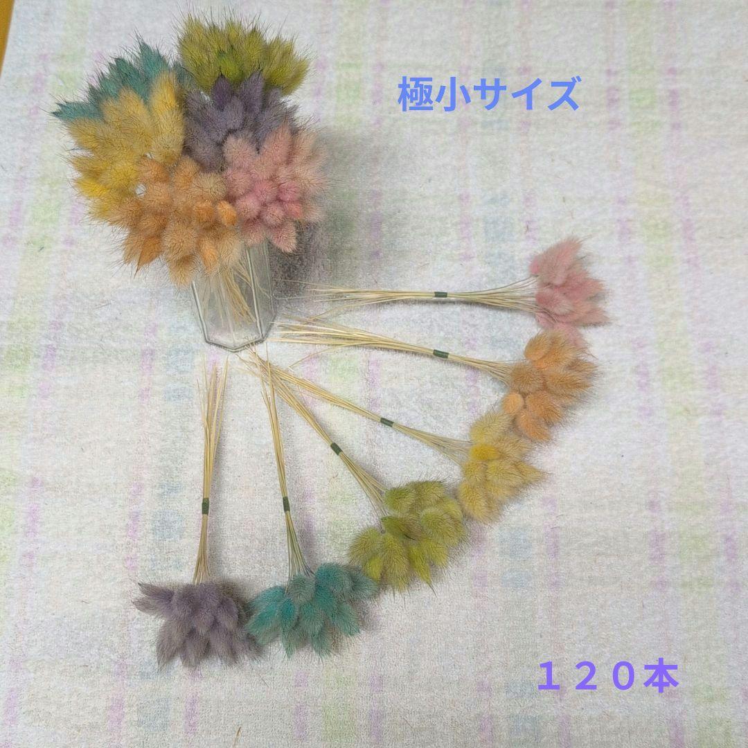 misu　訳あり　しめ縄　稲穂　ラグラス同梱