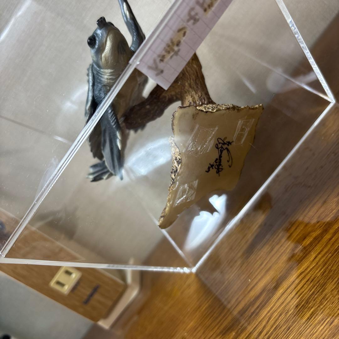 スッポンモドキ フィギュア ネイチャーテクニカラー