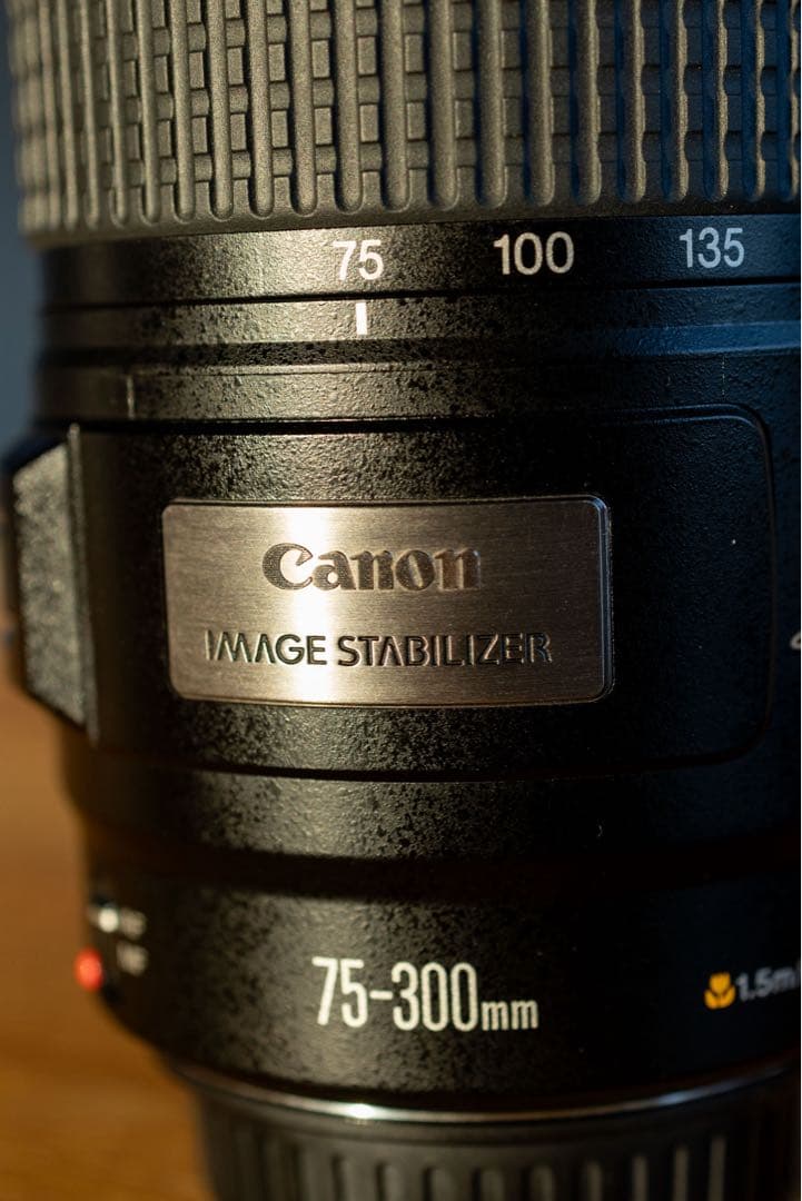 EF 75-300mm f/4-5.6 IS USM【オマケ付】