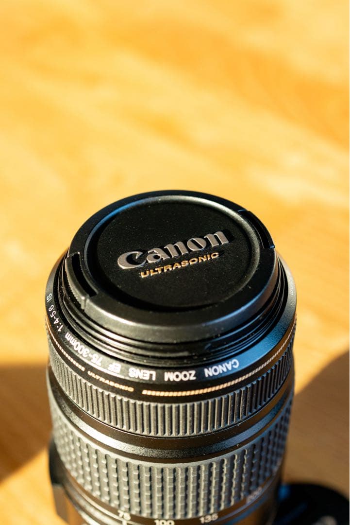 EF 75-300mm f/4-5.6 IS USM【オマケ付】