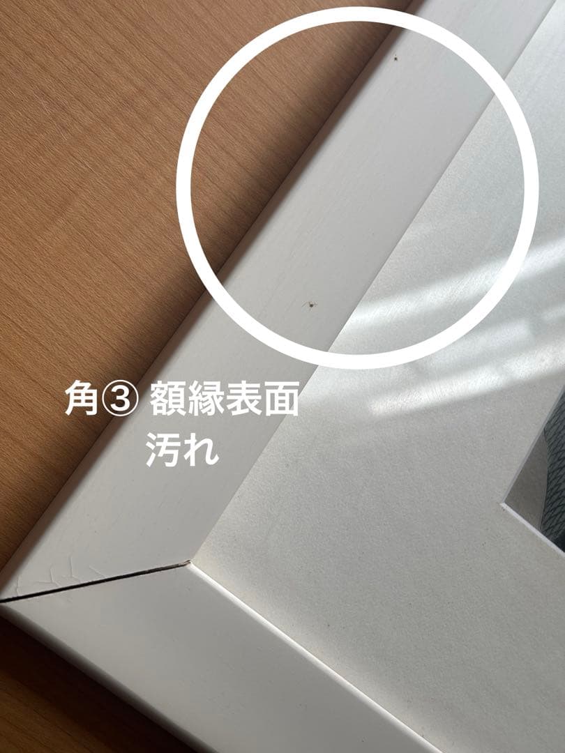 18日迄荒木飛呂彦 ジョジョ展複製原画 徐倫＆ブチャラティ ジョジョの