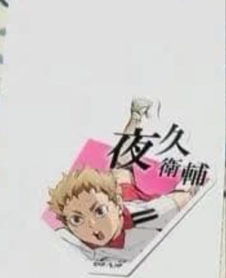 ハイキュー!! 音駒高校 グッズセット 29点 灰羽リエーフ 夜久衛輔 缶バッジ