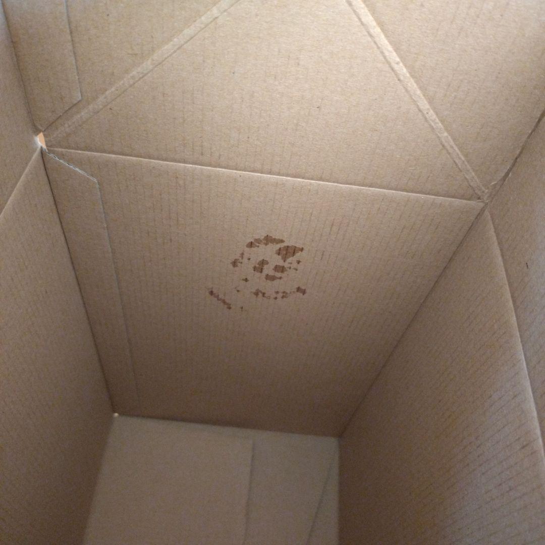 シュタイフ　スヌーピー　フライング・エース　日本限定　レア　ヴィンテージ