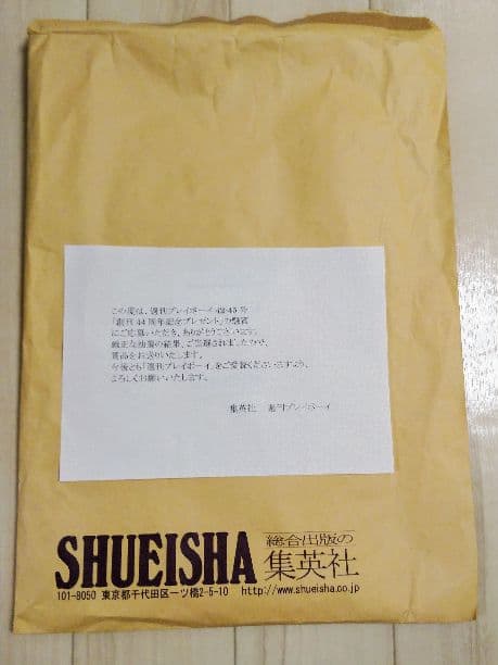 激レア 新品未開封 AKB48 指原莉乃 A BATHING APE コラボ T