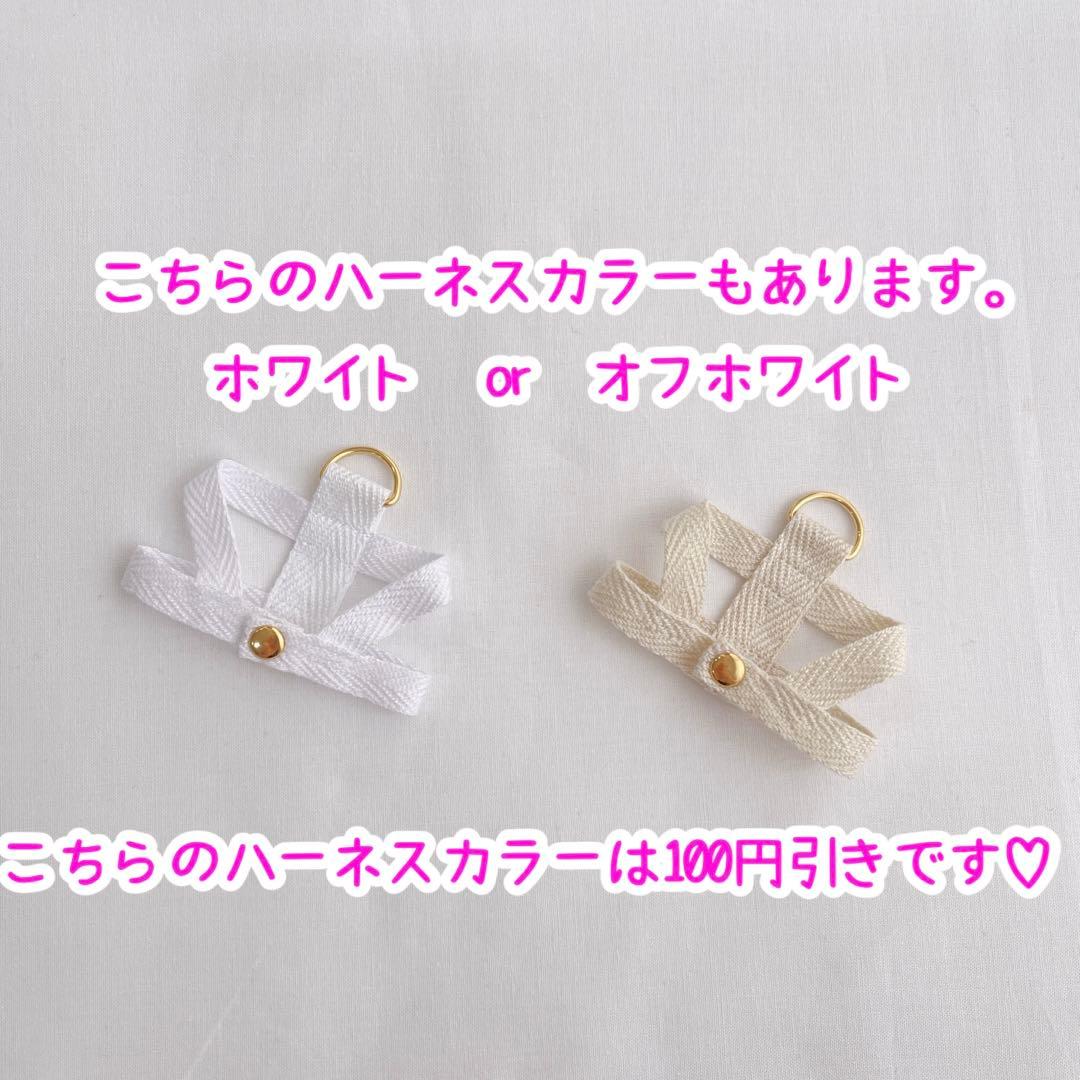 SixTONES用/カラーハーネス▷オーダーページ ストぬい紛失防止 - メルカリ