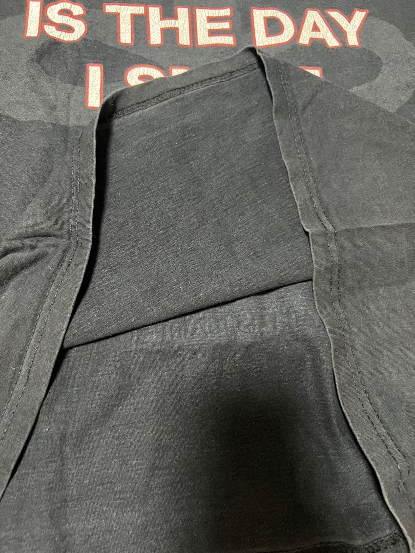 Naglfar ナグルファー バンド Tシャツ Lサイズ y2k ヴィンテージ