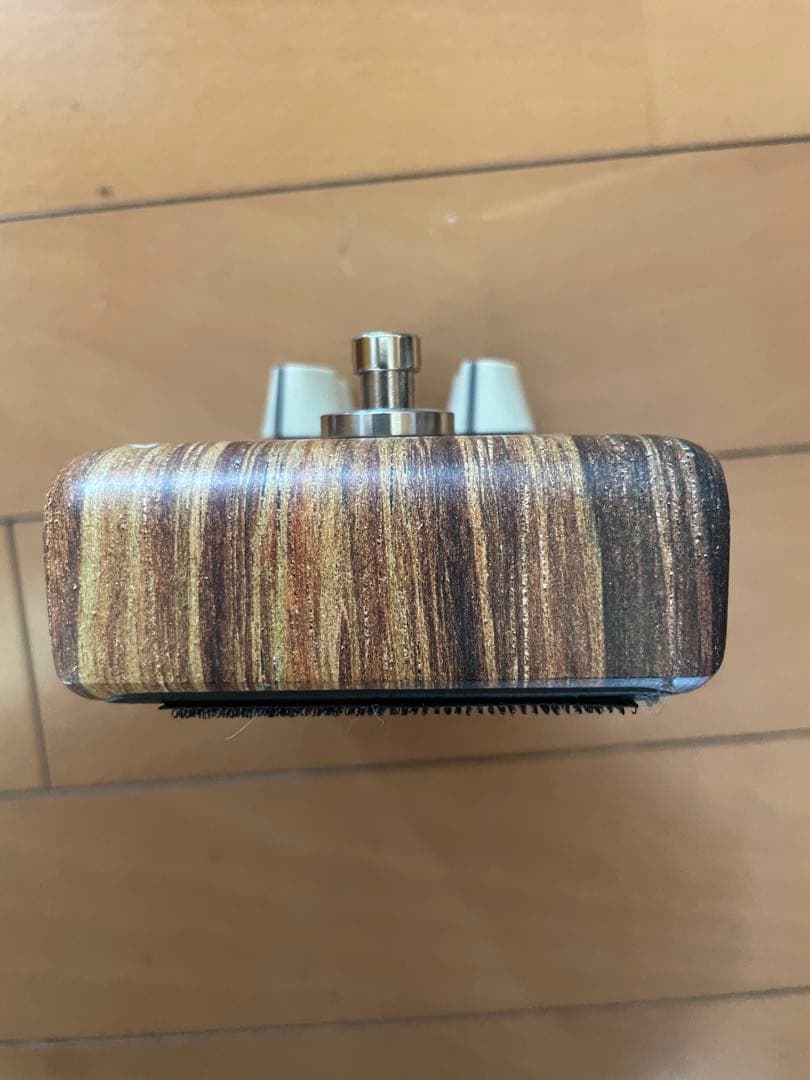 ギター L.R.Baggs ALIGN Series SESSION