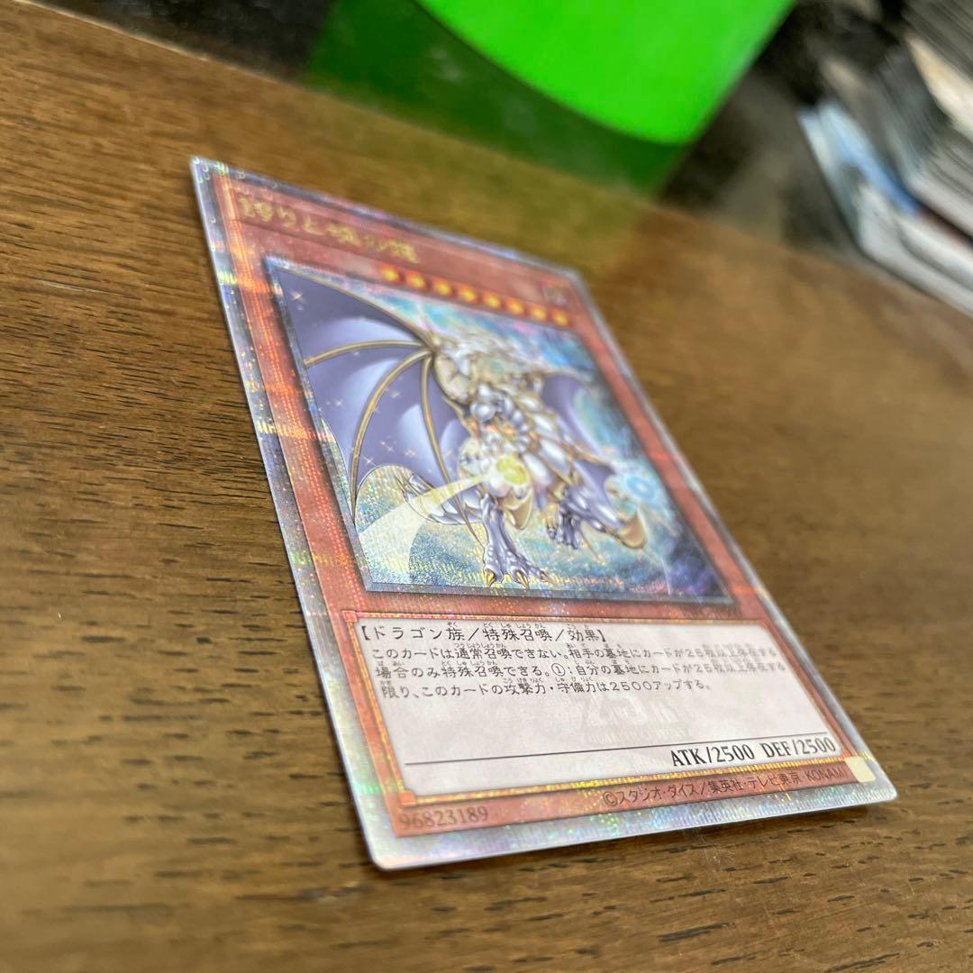 誇りと魂の龍　25th