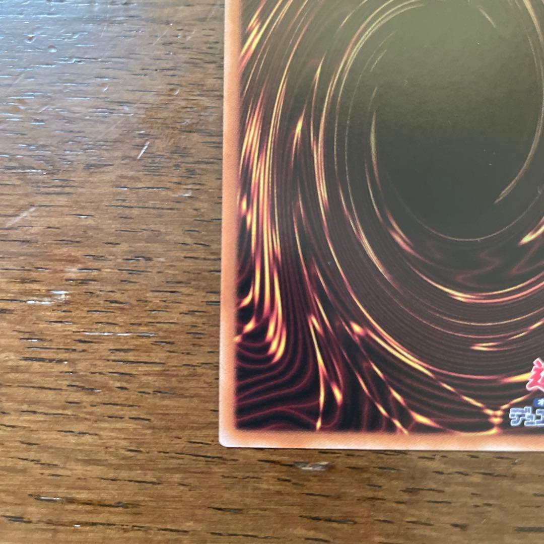 誇りと魂の龍　25th