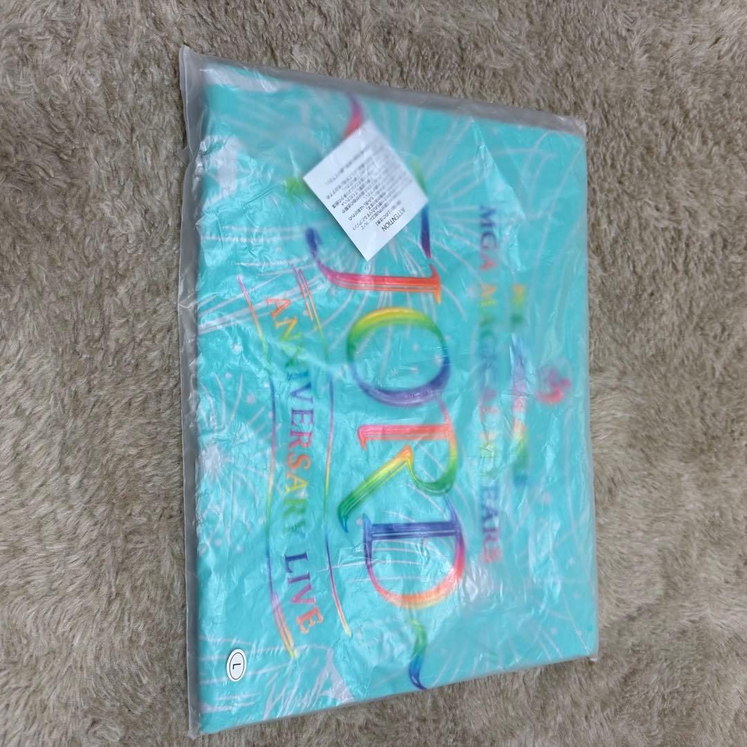 FJORD 当たり Tシャツ Lサイズ