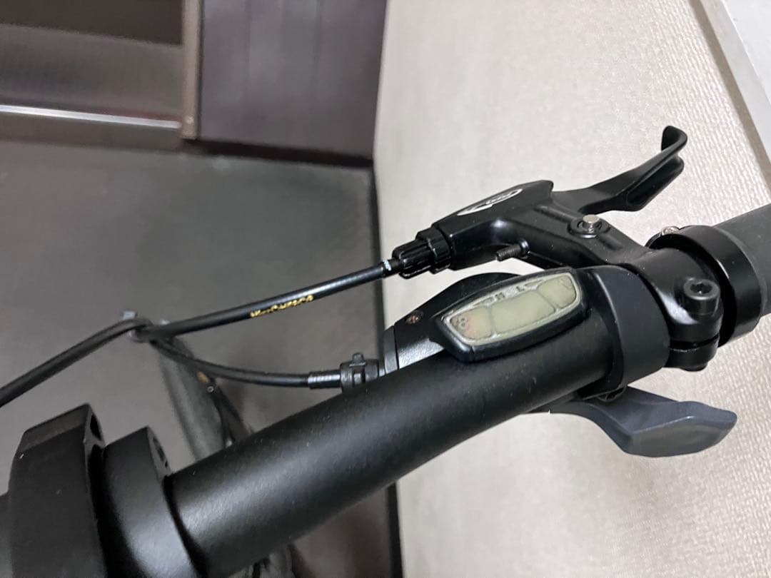 DAHON mu 8速 自家塗装 - メルカリ