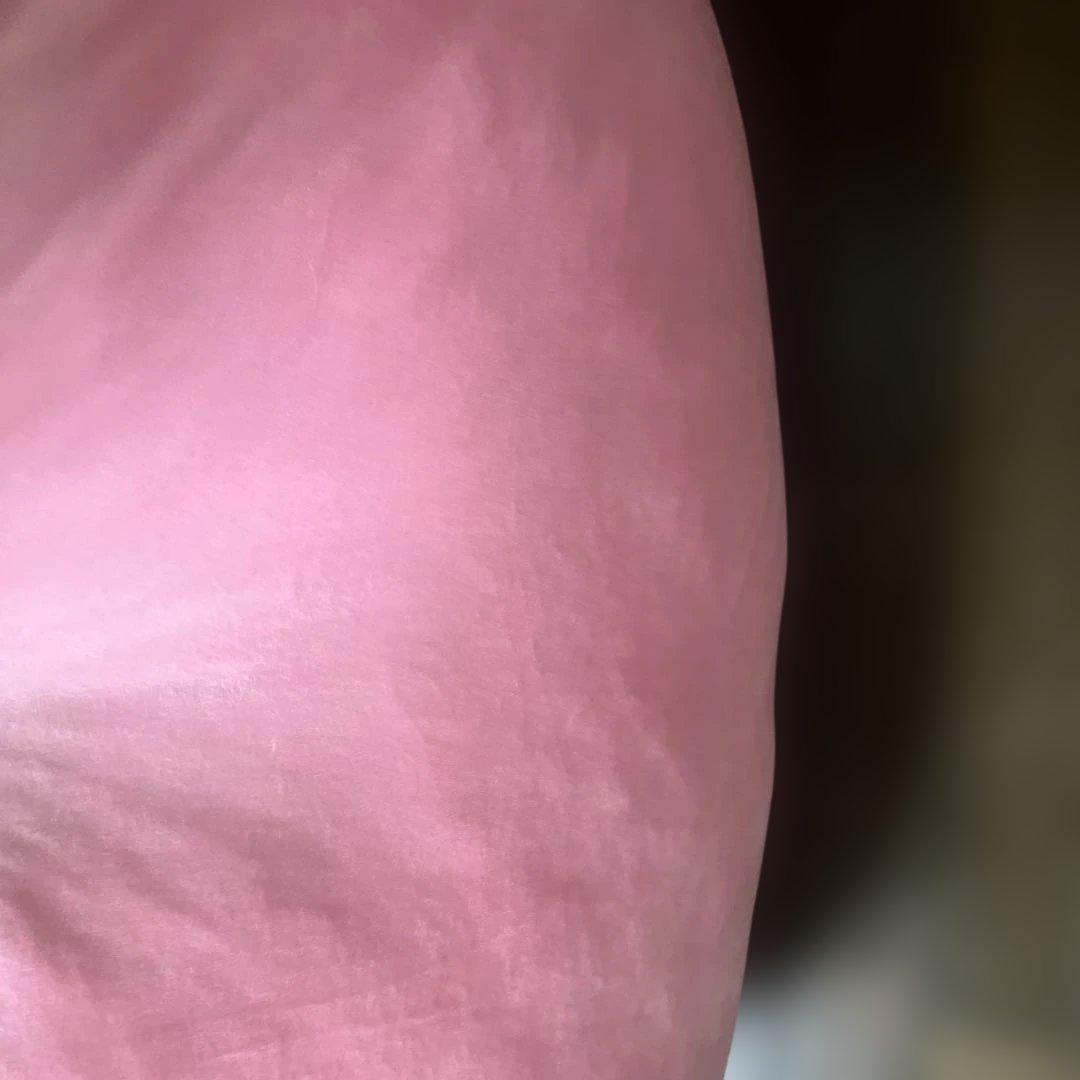 メタモン超ビックサイズもっちりぬいぐるみポケモンポケモンセンター2016