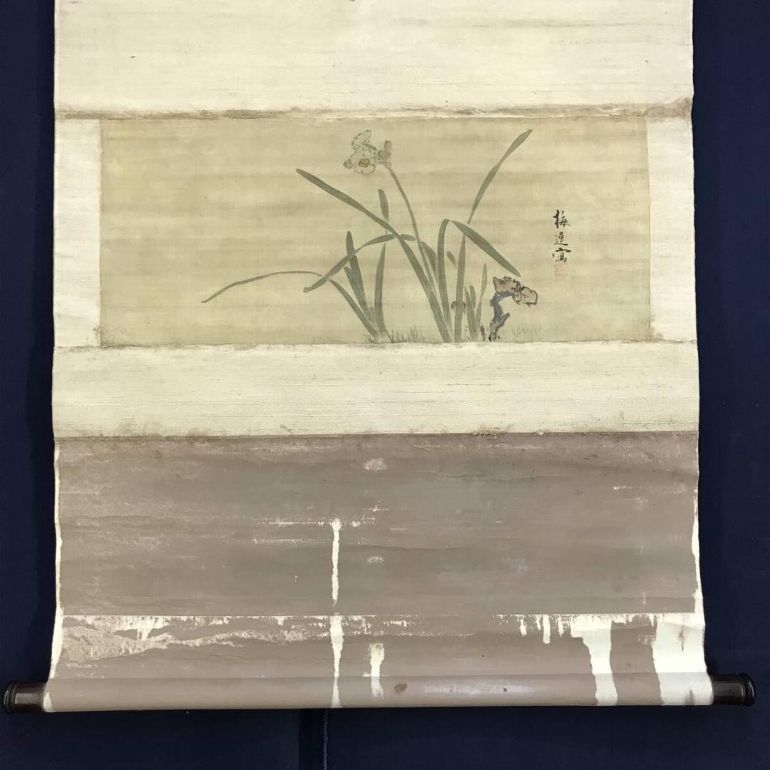 模写/山本梅逸/水仙図/スイセン図/横物/掛軸☆宝船☆AH-780