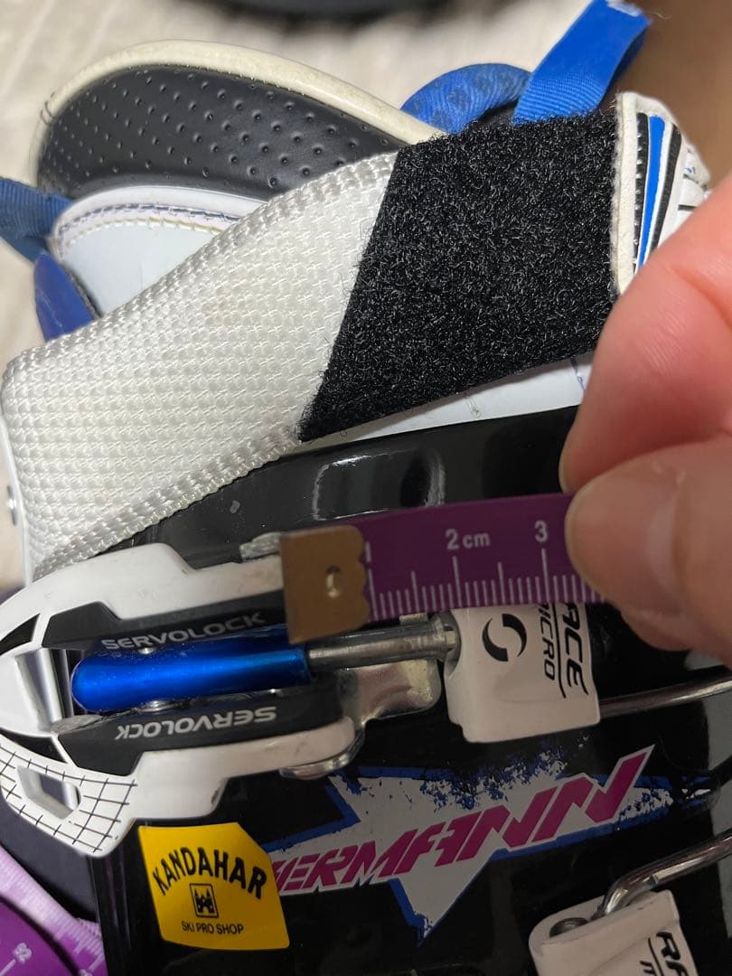 ノルディカ☆ドーベルマン ジュニアWORLD CUP 100