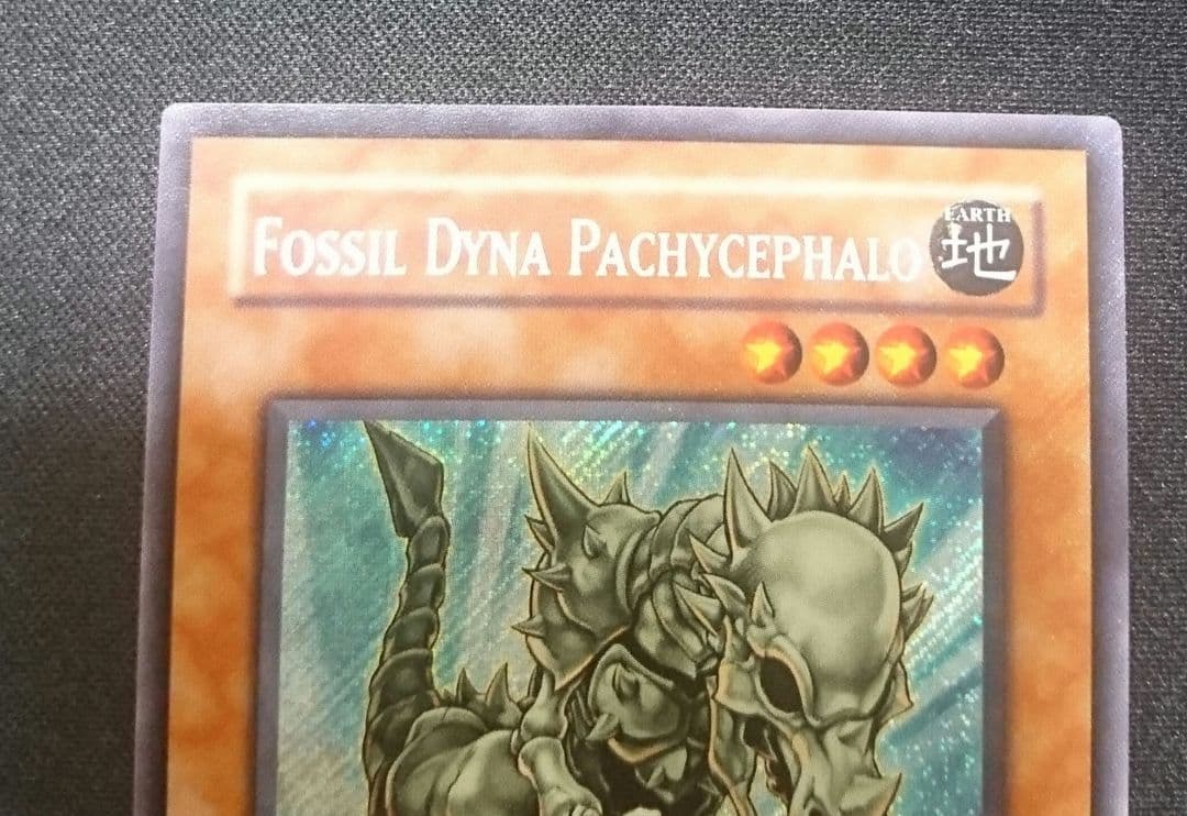 フォッシル・ダイナ パキケファロ　英語　EU版1stシークレット①　LODT