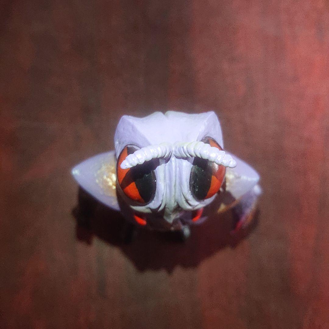 メディコム・トイ/ケラゲルゲ ソフビ